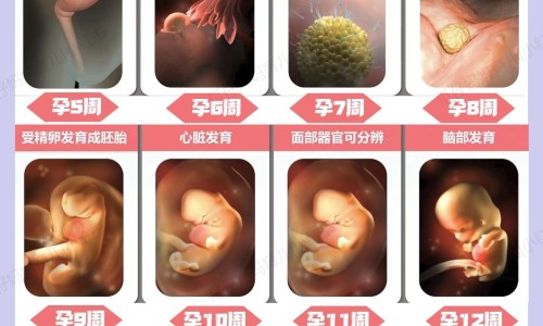权威去脸上的角质怎么去掉平台,分享专业去脸上角质有什么好处知识_脸上去角质的正确方法网